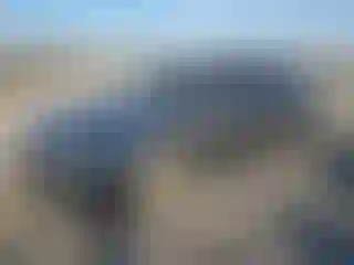 Vehicle Image- 2005 Toyota Avalon