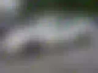 Vehicle Image- 2006 Toyota Avalon