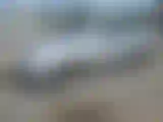 Vehicle Image- 2007 Toyota Avalon