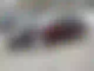 Vehicle Image- 2007 Toyota Avalon