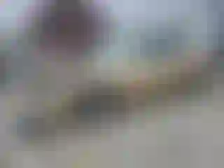 Vehicle Image- 2010 Toyota Avalon