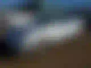 Vehicle Image- 2010 Toyota Avalon