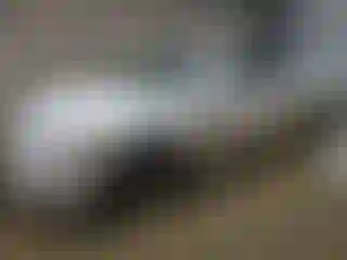 Vehicle Image- 2010 Toyota Camry