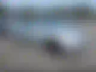 Vehicle Image- 2008 Toyota Camry