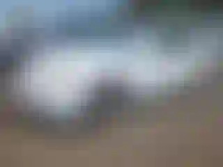 Vehicle Image- 2009 Toyota Camry