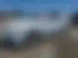 Vehicle Image- 2007 Toyota Camry