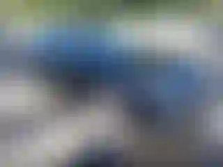 Vehicle Image- 2019 Toyota Avalon