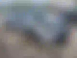 Vehicle Image- 2019 Toyota Avalon