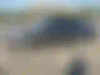 Vehicle Image- 2023 Toyota Camry