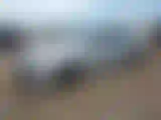 Vehicle Image- 2020 Toyota Camry