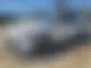 Vehicle Image- 2020 Toyota Camry