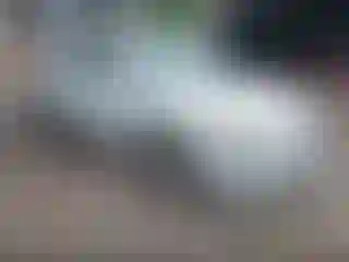 Vehicle Image- 2004 Toyota Camry