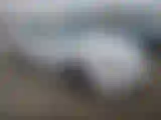 Vehicle Image- 2006 Toyota Camry