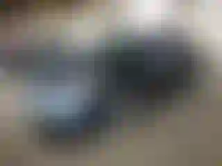 Vehicle Image- 2004 Toyota Camry