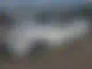 Vehicle Image- 2007 Toyota Camry