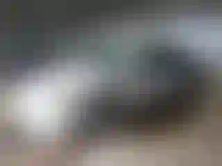 Vehicle Image- 2004 Toyota Camry