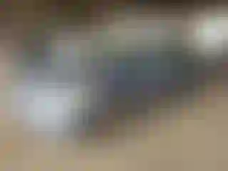 Vehicle Image- 2006 Toyota Camry