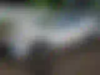 Vehicle Image- 2025 Toyota Camry