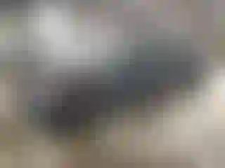 Vehicle Image- 2025 Toyota Camry