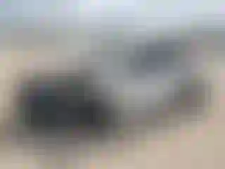 Vehicle Image- 2025 Toyota Camry