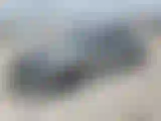 Vehicle Image- 2025 Toyota Camry