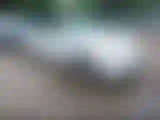 Vehicle Image- 2006 Toyota Camry