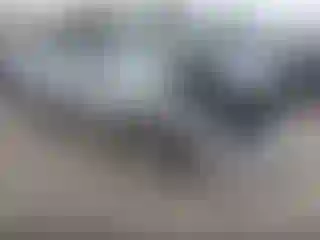 Vehicle Image- 2008 Toyota Camry