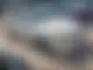 Vehicle Image- 2006 Toyota Camry