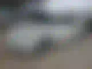 Vehicle Image- 2008 Toyota Camry