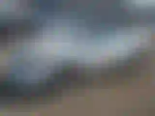 Vehicle Image- 2008 Toyota Camry
