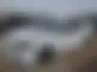 Vehicle Image- 2021 Toyota Camry