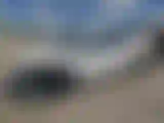 Vehicle Image- 2021 Toyota Camry