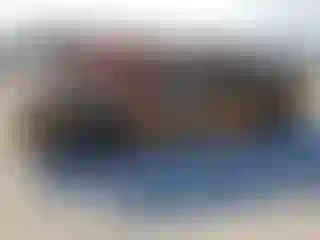 Vehicle Image- 2023 Toyota Camry