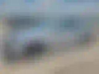 Vehicle Image- 2023 Toyota Camry