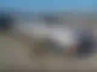 Vehicle Image- 1995 Toyota Avalon