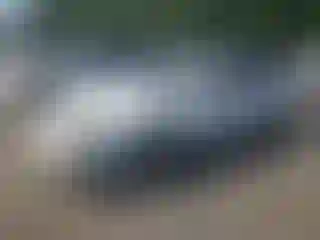 Vehicle Image- 1995 Toyota Camry