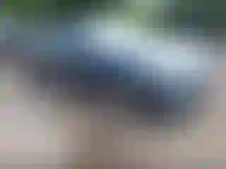 Vehicle Image- 2021 Toyota Avalon