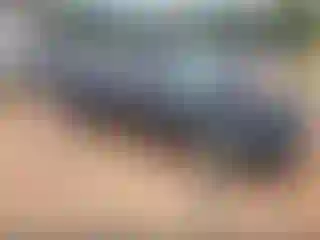 IMPORTOWO.pl