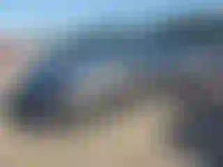 Vehicle Image- 2023 Toyota Camry