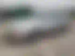 Vehicle Image- 1993 Toyota Camry