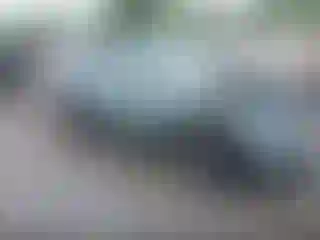 Vehicle Image- 2023 Toyota RAV4