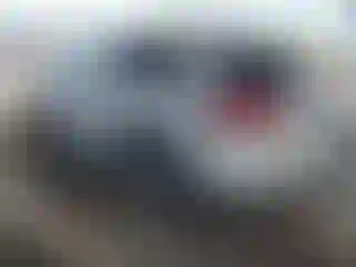 IMPORTOWO.pl