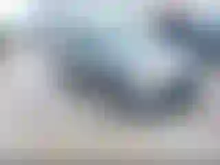 Vehicle Image- 2021 Toyota RAV4