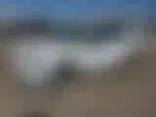 Vehicle Image- 2021 Toyota RAV4