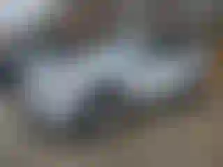 Vehicle Image- 2021 Toyota RAV4