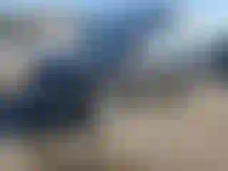 Vehicle Image- 2021 Toyota RAV4