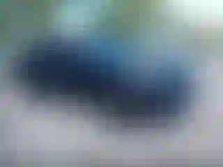 Vehicle Image- 2022 Toyota RAV4