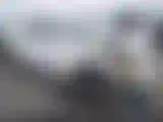 Vehicle Image- 2008 Toyota Camry