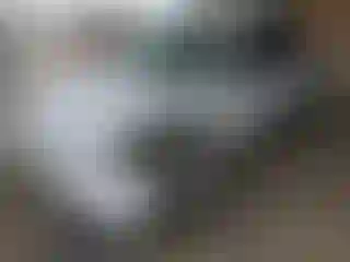 Vehicle Image- 2008 Toyota Camry