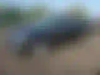 Vehicle Image- 2009 Toyota Camry